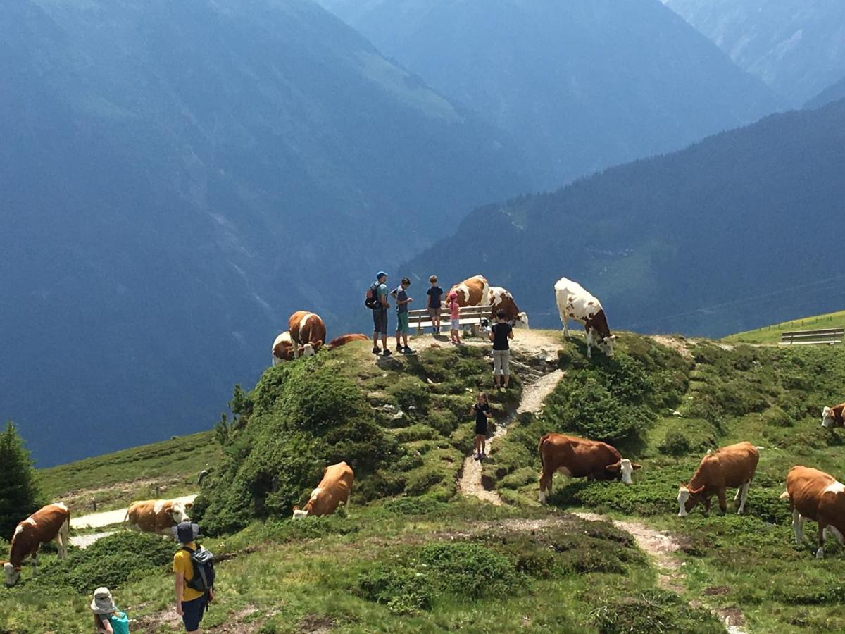Zillertal Apartamento