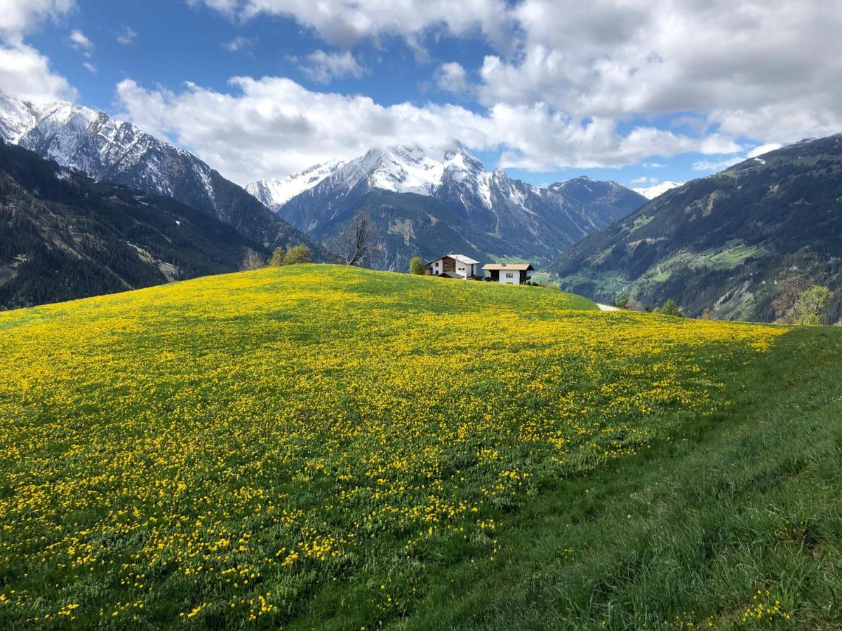 Zillertal Appartement Ramsau im Zillertal